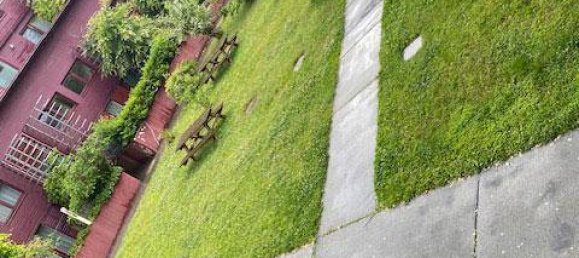 3 Schlafzimmer Wohnung in Wien, Austria, Nr. 212055 2