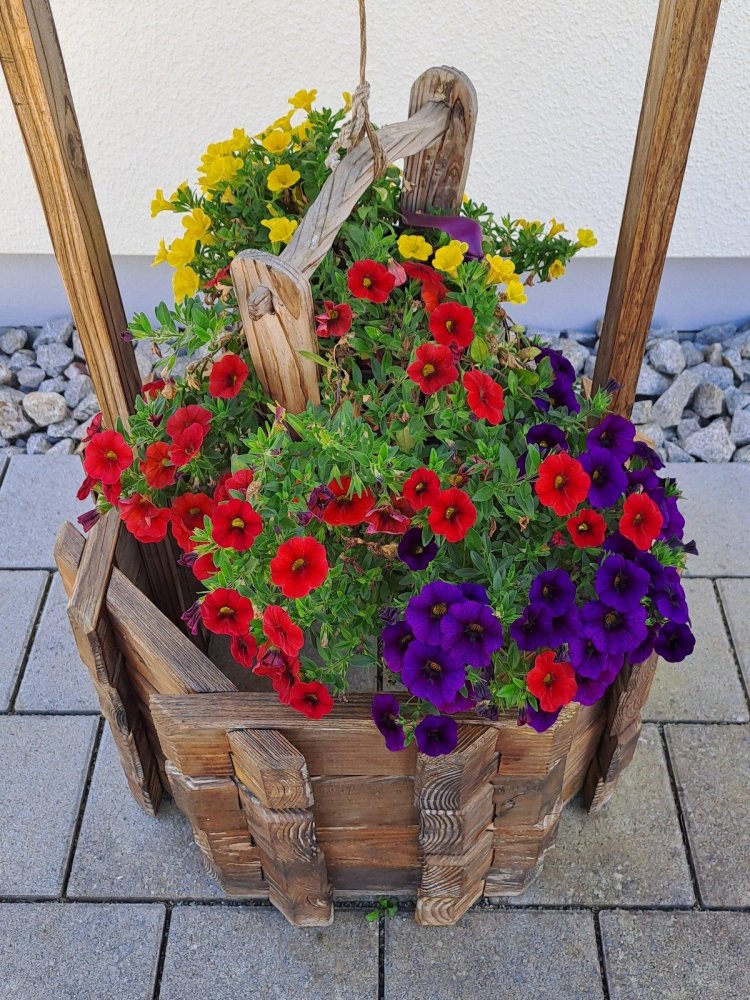 Casa T3 em Calw, Germany N.º 234169