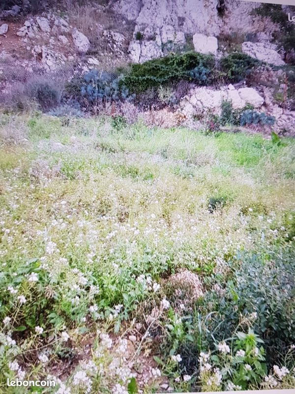 Grundstück in Gigean, France, Nr. 318311