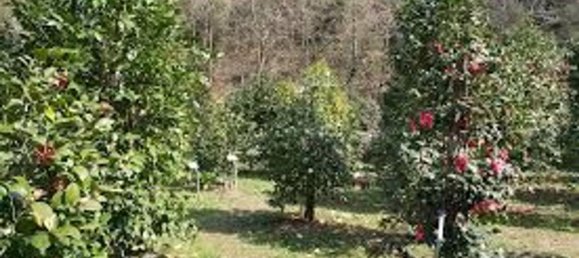 15 rooms Villa in Capannori, Italy No. 147605 30