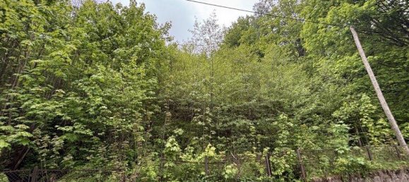 3551m² Land in Semmering, Austria No. 194966 3