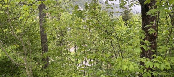 3551m² Land in Semmering, Austria No. 194966 2