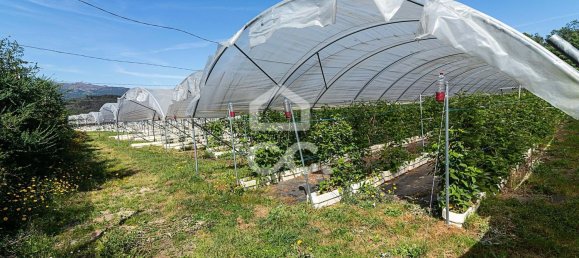 3 chambres Maison à Sao Joao de Rei, Portugal No. 61656 21