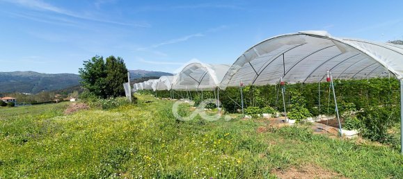 3 chambres Maison à Sao Joao de Rei, Portugal No. 61656 17