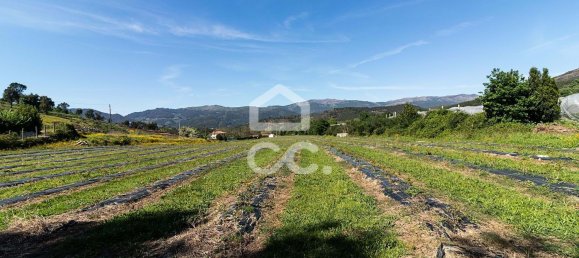3 chambres Maison à Sao Joao de Rei, Portugal No. 61656 18