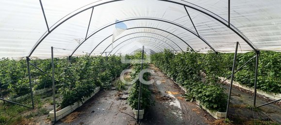 3 chambres Maison à Sao Joao de Rei, Portugal No. 61656 15