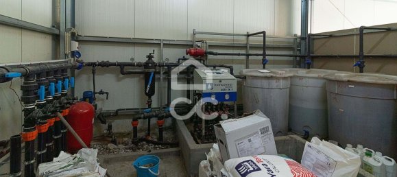 3 chambres Maison à Sao Joao de Rei, Portugal No. 61656 7