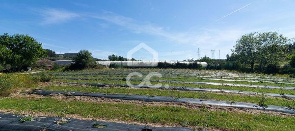 3 chambres Maison à Sao Joao de Rei, Portugal No. 61656 4