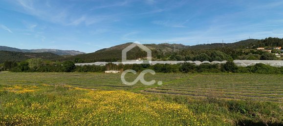 3 chambres Maison à Sao Joao de Rei, Portugal No. 61656 28