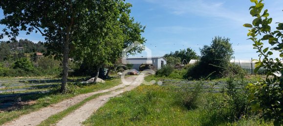 3 chambres Maison à Sao Joao de Rei, Portugal No. 61656 5