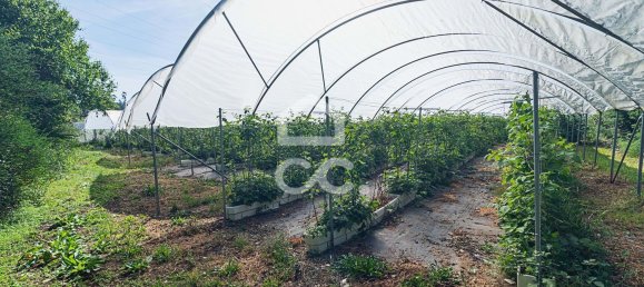 3 chambres Maison à Sao Joao de Rei, Portugal No. 61656 14