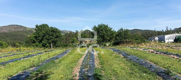 3 chambres Maison à Sao Joao de Rei, Portugal No. 61656 25