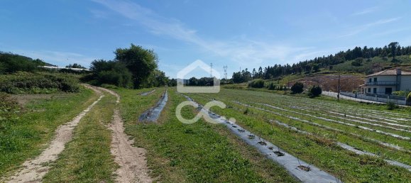 3 chambres Maison à Sao Joao de Rei, Portugal No. 61656 3