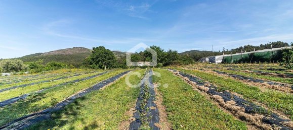 3 chambres Maison à Sao Joao de Rei, Portugal No. 61656 24