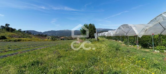 3 chambres Maison à Sao Joao de Rei, Portugal No. 61656 16