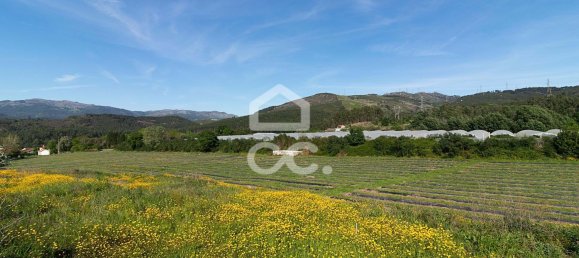 3 chambres Maison à Sao Joao de Rei, Portugal No. 61656 27