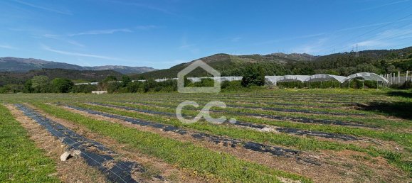 3 chambres Maison à Sao Joao de Rei, Portugal No. 61656 20