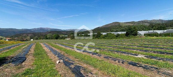3 chambres Maison à Sao Joao de Rei, Portugal No. 61656 19