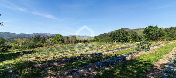 3 chambres Maison à Sao Joao de Rei, Portugal No. 61656 23