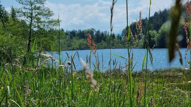 2 rooms Bungalow in Velden am Worther See, Austria No. 247669