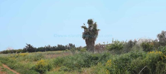 Villa à Deryneia, Cyprus No. 24109 3