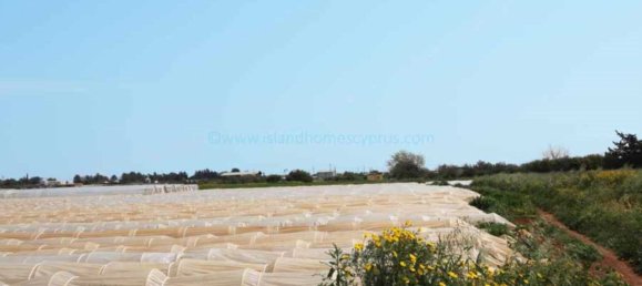 Villa à Deryneia, Cyprus No. 24109 2