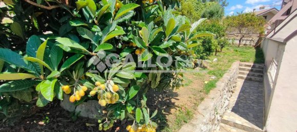 10-Zimmer Villa in Rende, Italy, Nr. 39868 39