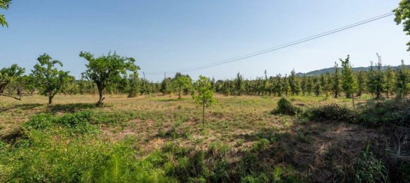 15 bedrooms Villa in Torres Vedras, Portugal No. 54381 22