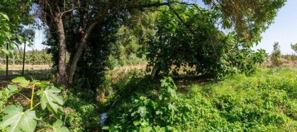 15 bedrooms Villa in Torres Vedras, Portugal No. 54381 23