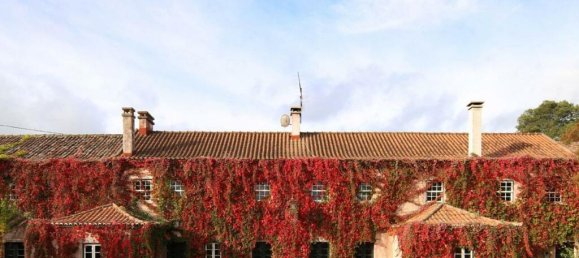 15 bedrooms Villa in Torres Vedras, Portugal No. 54381 3