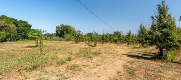 15 bedrooms Villa in Torres Vedras, Portugal No. 54381 24