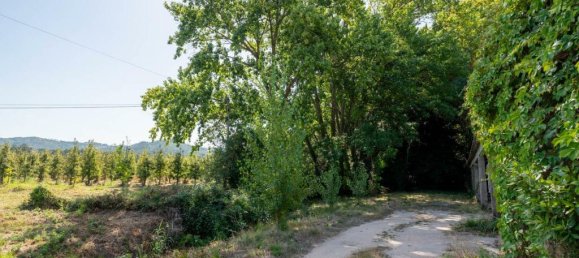 15 bedrooms Villa in Torres Vedras, Portugal No. 54381 15