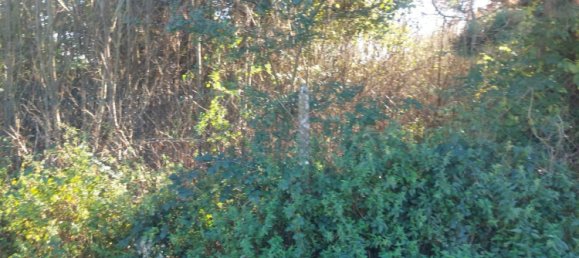  Land in Salency, France No. 218034 3