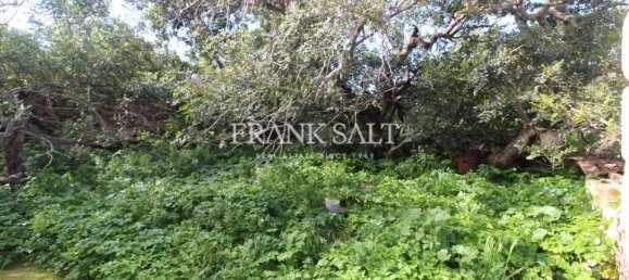 Quinta T3 em Zebbug, Malta N.º 236 44