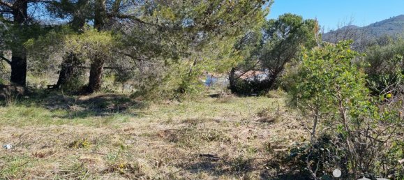 1318m² Land in Villeneuve-les-Corbieres, France No. 104267 4