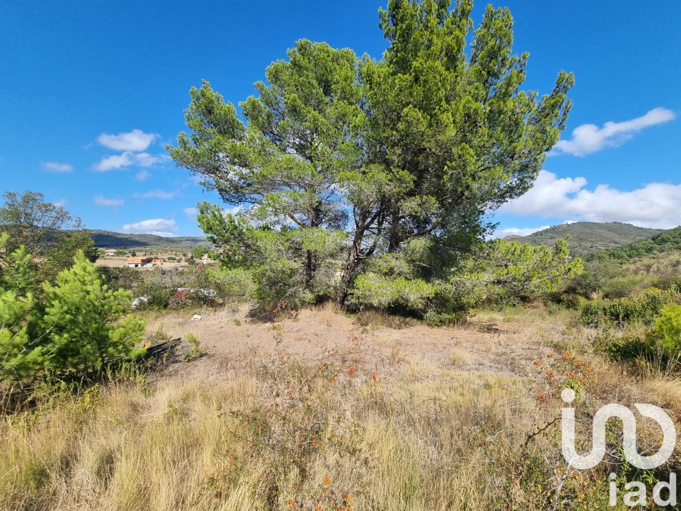 1318m² Land in Villeneuve-les-Corbieres, France No. 104267