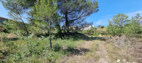 1318m² Land in Villeneuve-les-Corbieres, France No. 104267 3
