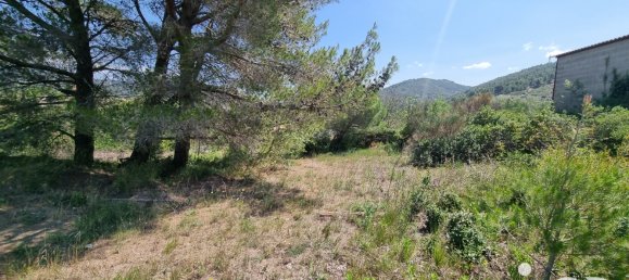 1318m² Land in Villeneuve-les-Corbieres, France No. 104267 7