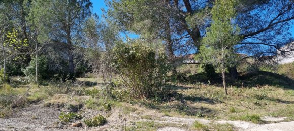 1318m² Land in Villeneuve-les-Corbieres, France No. 104267 5