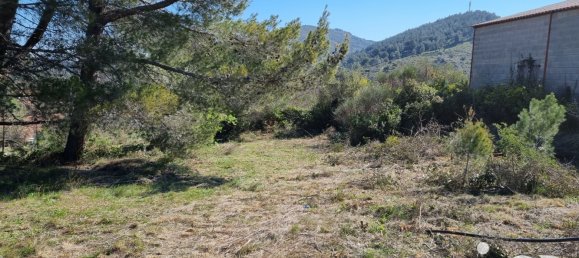 1318m² Land in Villeneuve-les-Corbieres, France No. 104267 6