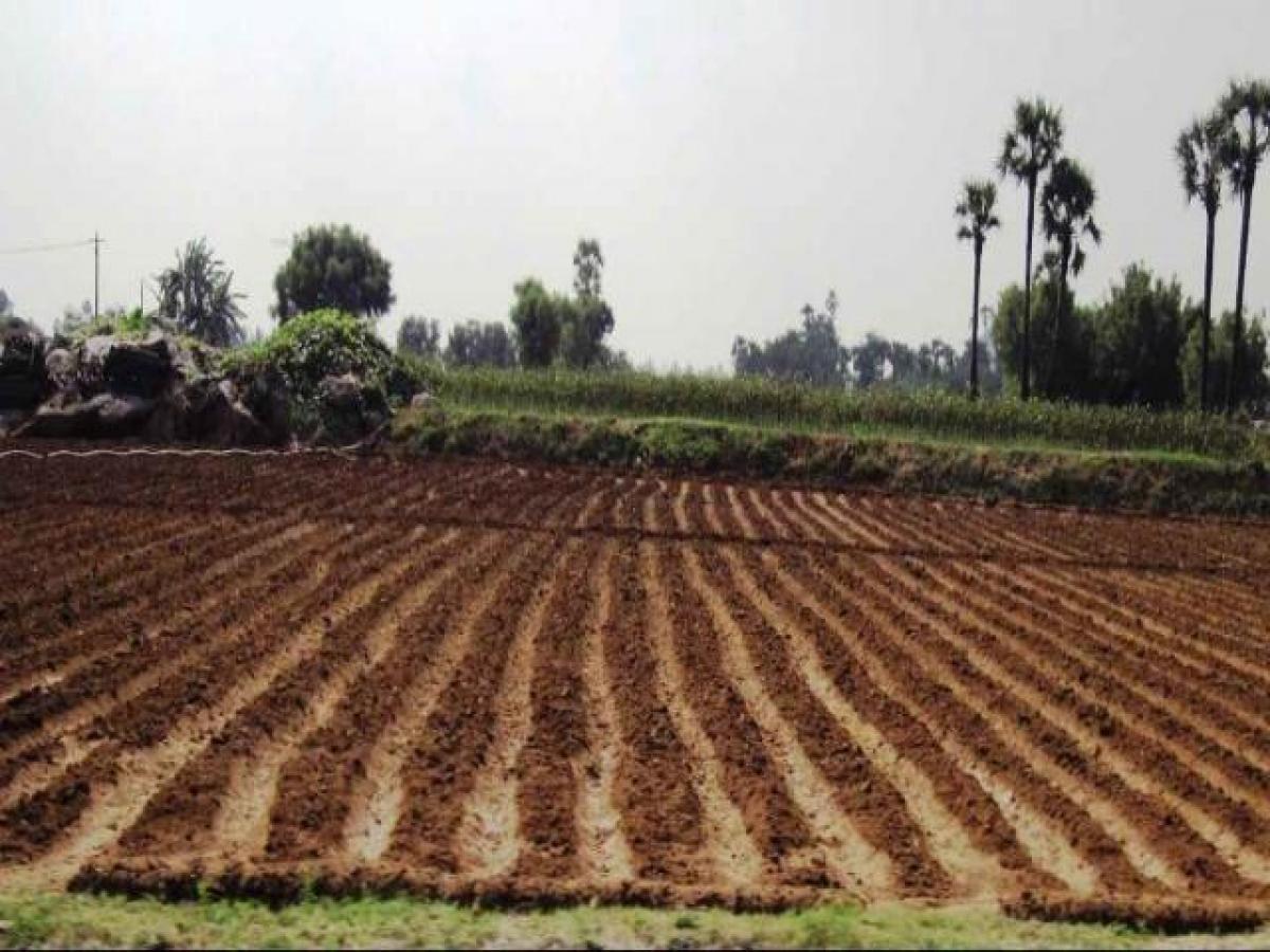  Land in Aligarh, India No. 33089