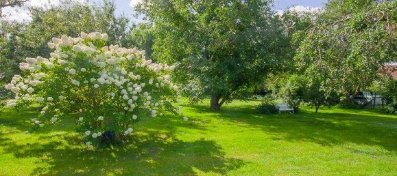 Дом с 5 комнатами в Передняя Померания-Грайфсвальд, Германия № 367891 20