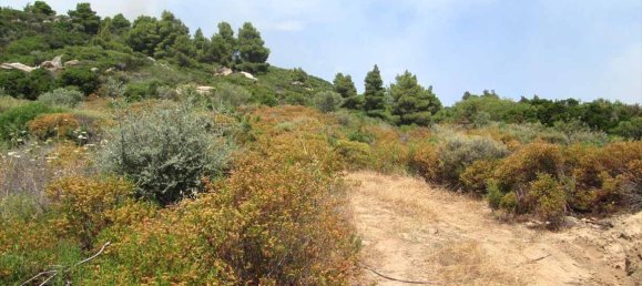 Hôtel à Chalkidiki, Greece 10500m² No. 7125 12