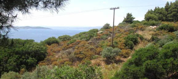 Hôtel à Chalkidiki, Greece 10500m² No. 7125 9