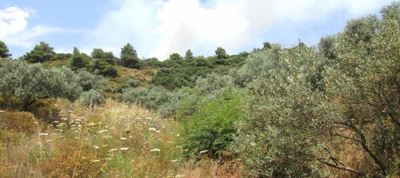 Hôtel à Chalkidiki, Greece 10500m² No. 7125 4