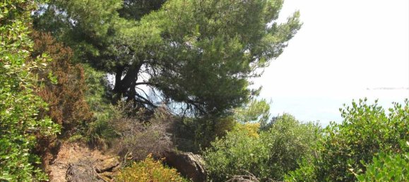 Hôtel à Chalkidiki, Greece 10500m² No. 7125 8