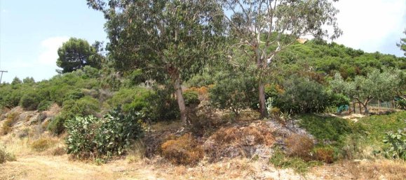 Hôtel à Chalkidiki, Greece 10500m² No. 7125 2