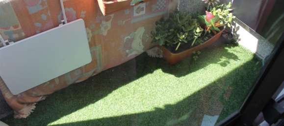 Apartamento de 3 dormitorios en Castelo Branco, Portugal No. 346129 3