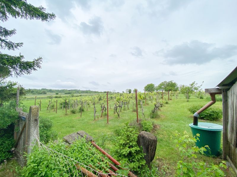 Castelos de 2 divisões em Vienna, Austria N.º 157502