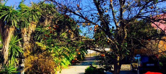  عقار تجاري في Corfu, Greece 128متر مربع رقم 6128 5